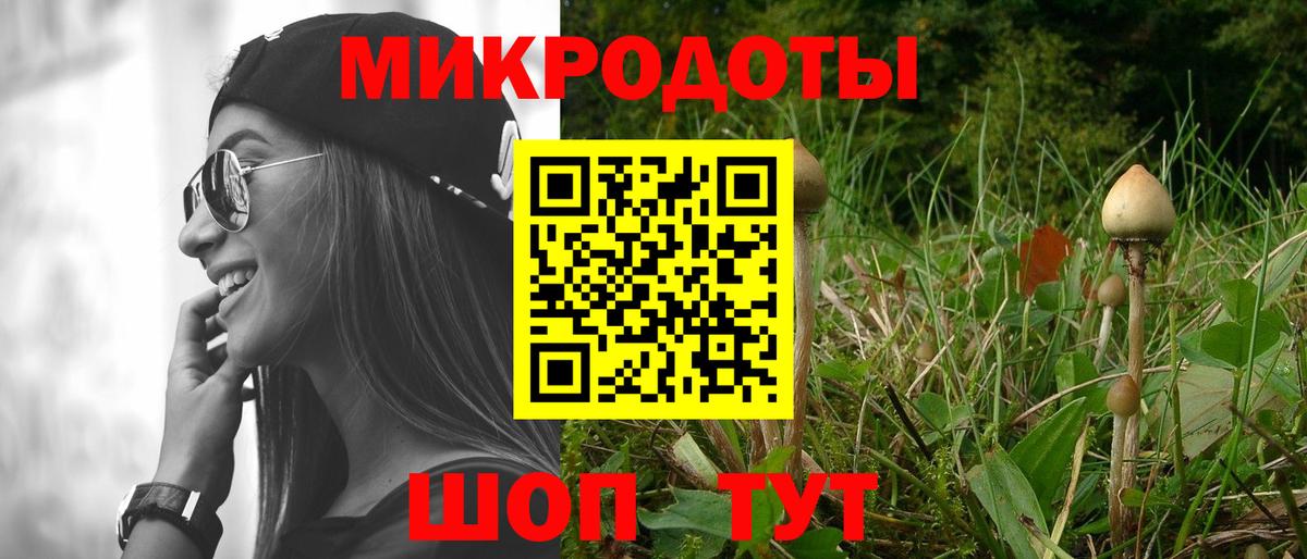 Псилоцибиновые грибы Psilocybe Владивосток