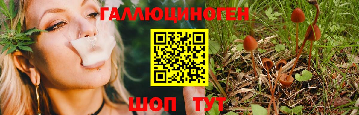 Галлюциногенные грибы мухоморы  Вход с VPN  где можно купить наркотик  Псилоцибиновые грибы прущие грибы  Владивосток 